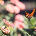 顶到花心 22i0d